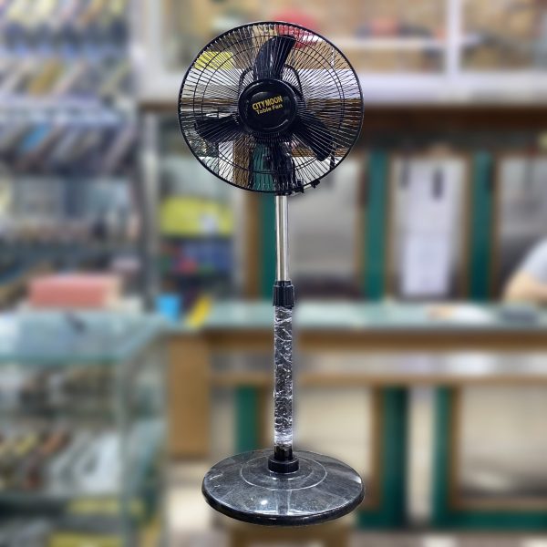 City Moon 12-inch Stand Fan